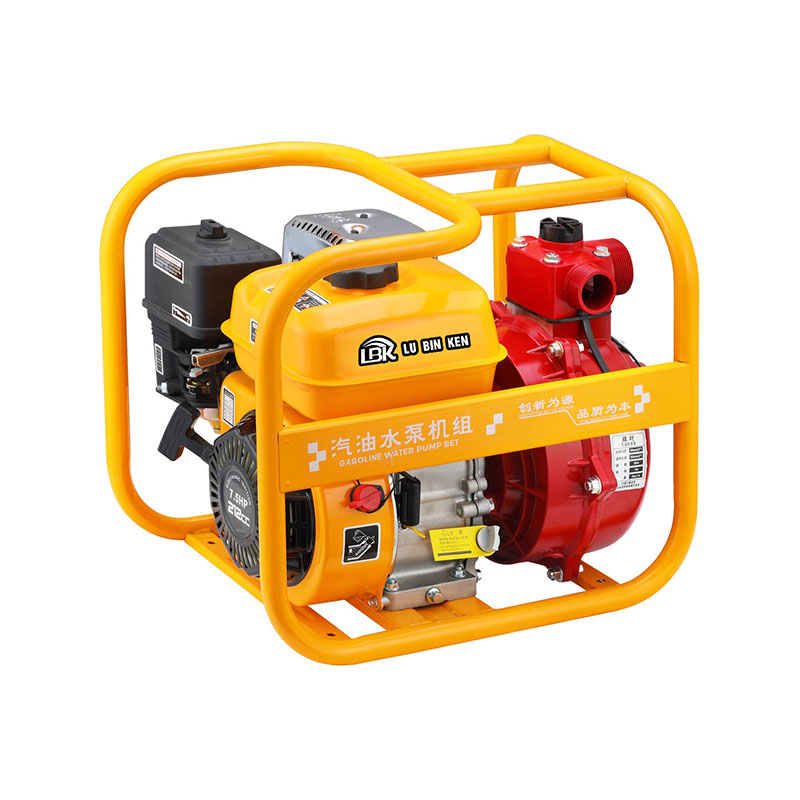 Single/Dual-Impeller Gasoline Engine Water Pump for Agricultural Irrigation